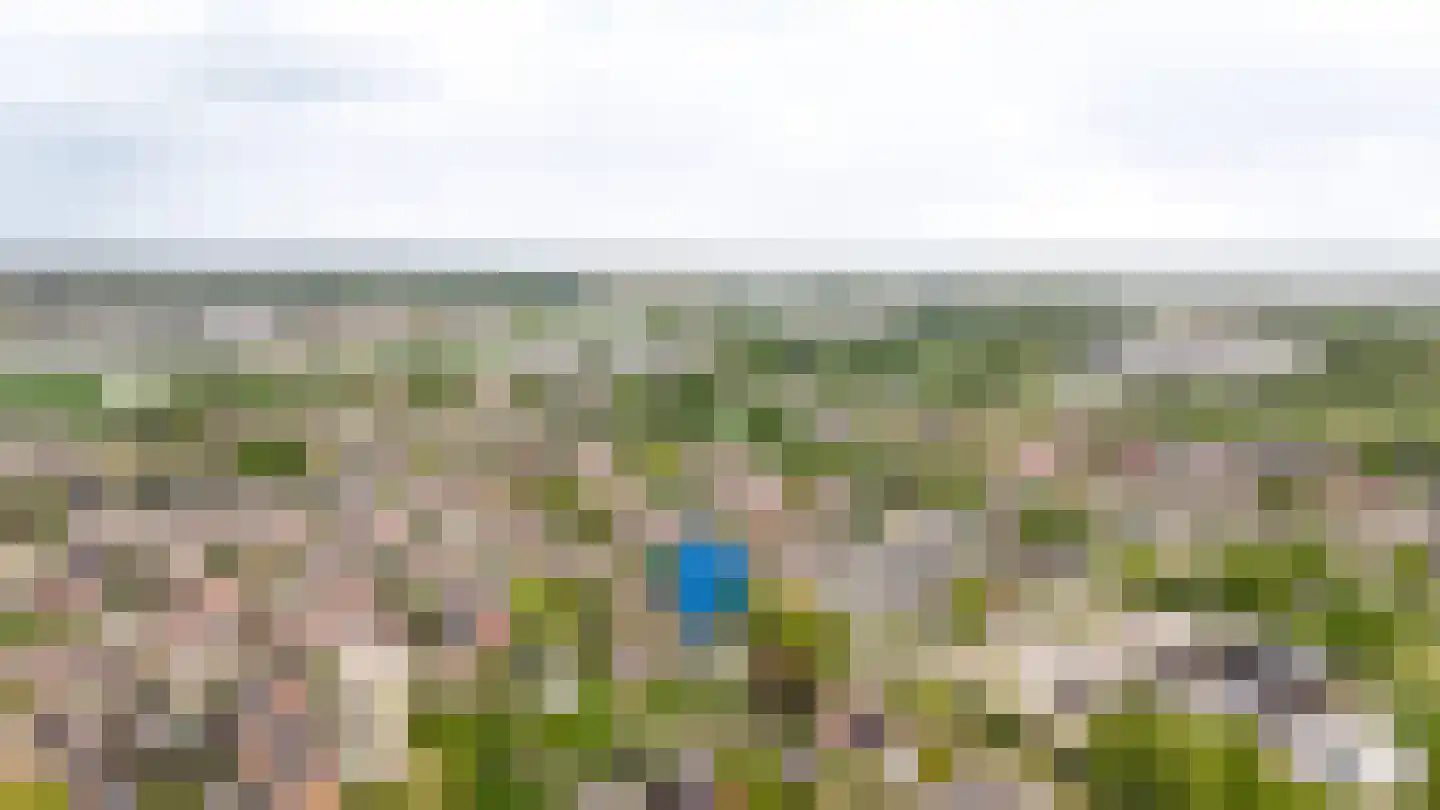 Nijenkamp 8 Druten thumbnail 60