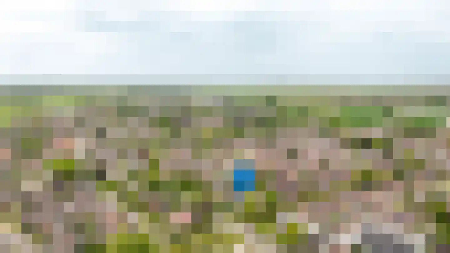 Nijenkamp 8 Druten thumbnail 61
