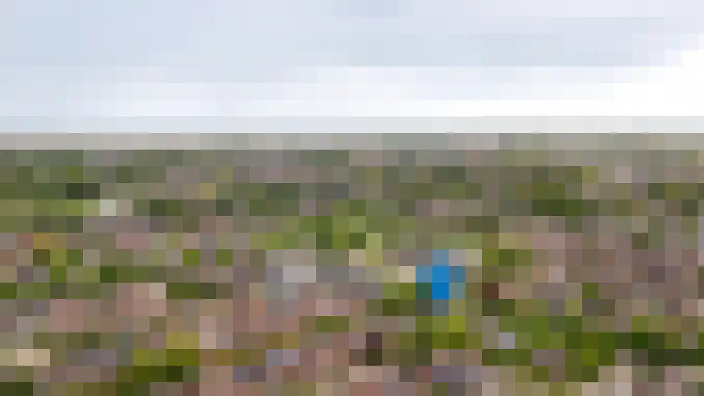 Nijenkamp 8 Druten thumbnail 62