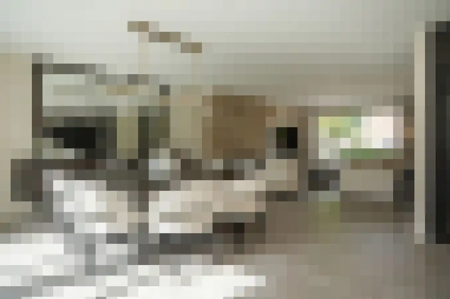 Nijenkamp 8 Druten thumbnail 7