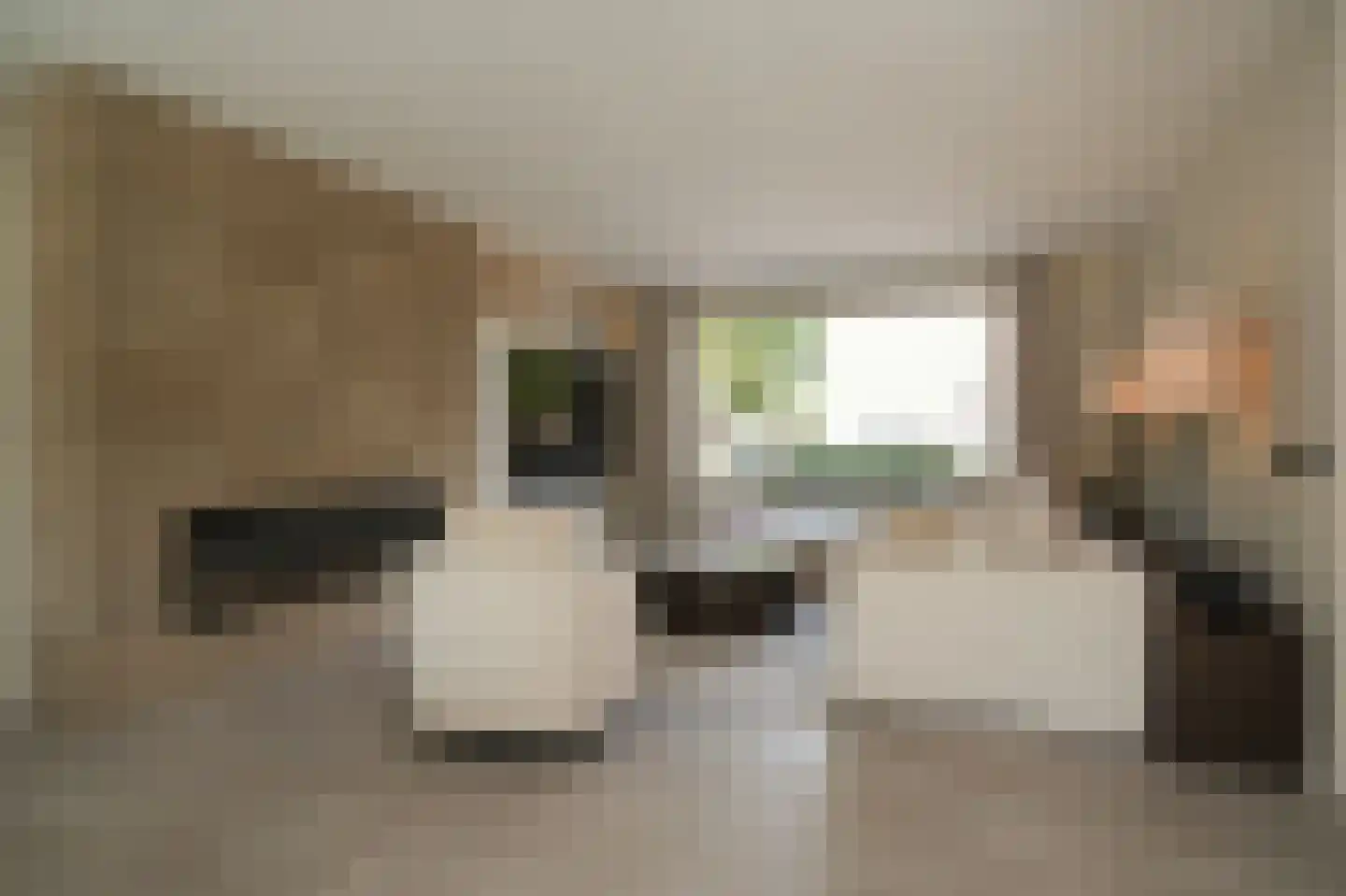 Nijenkamp 8 Druten thumbnail 8