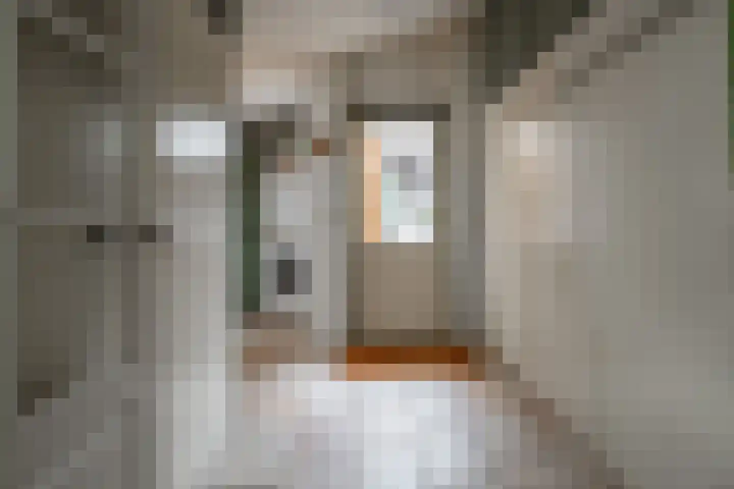 Nijenkerckestraat 22 Haaksbergen thumbnail 15