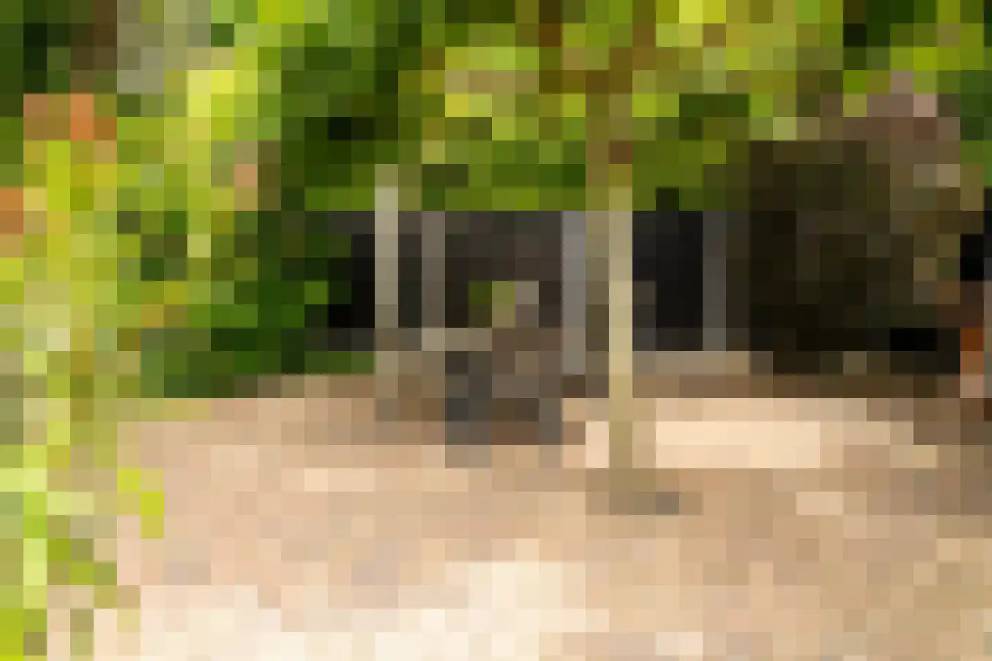Nijenkerckestraat 22 Haaksbergen thumbnail 36