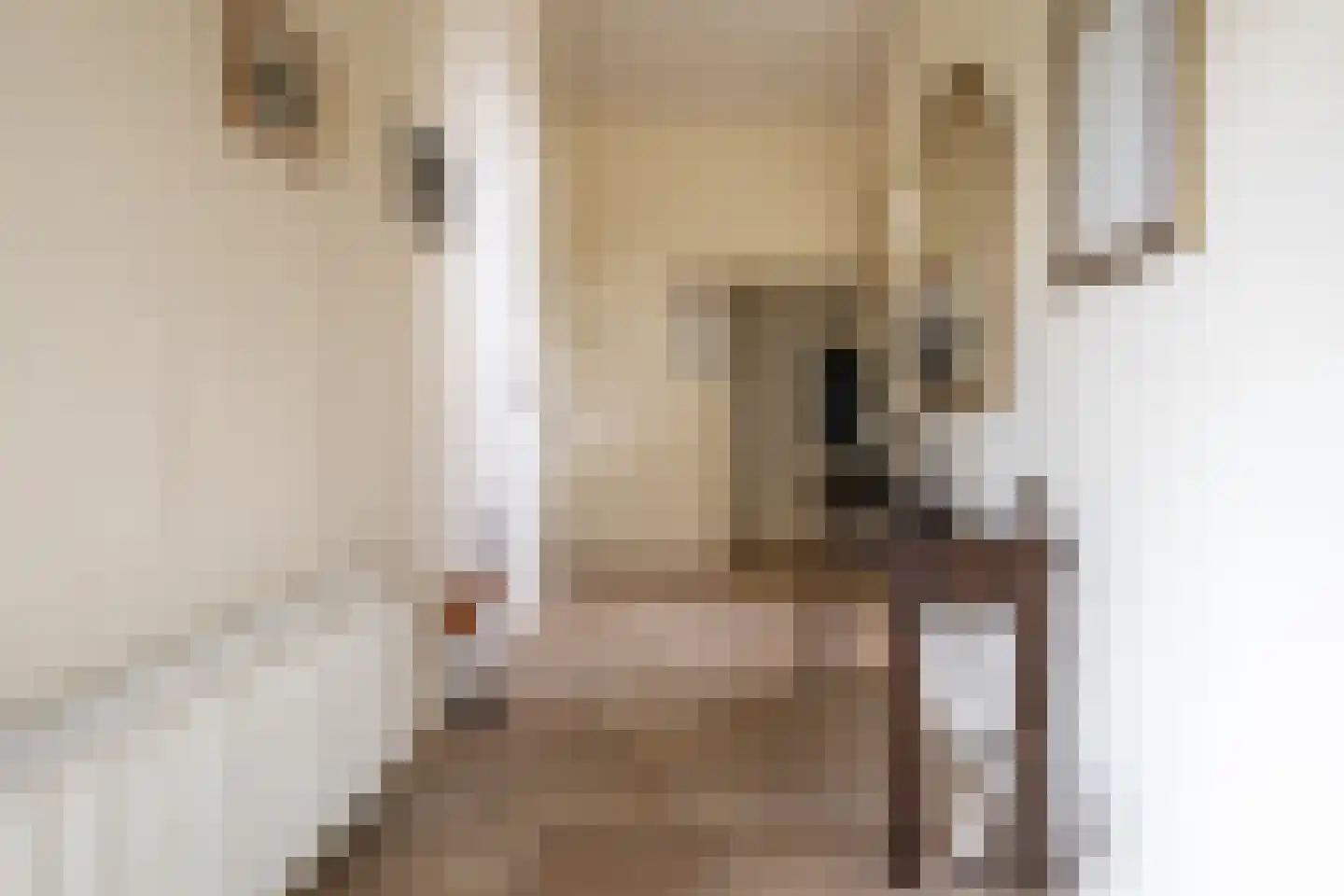 Nijenkerckestraat 22 Haaksbergen thumbnail 5