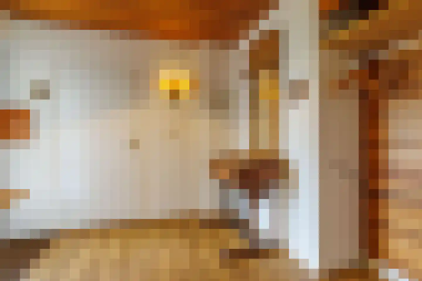 Nijenkerckestraat 6 Haaksbergen thumbnail 39