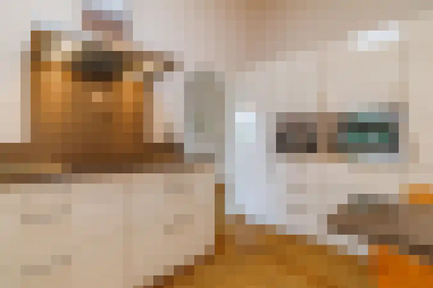 Nijenkerckestraat 6 Haaksbergen thumbnail 4