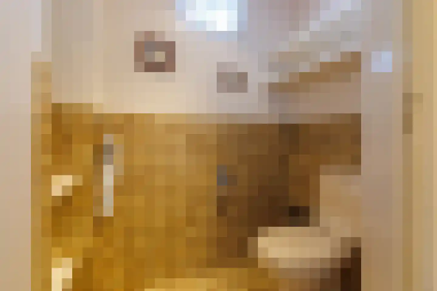 Nijenkerckestraat 6 Haaksbergen thumbnail 41