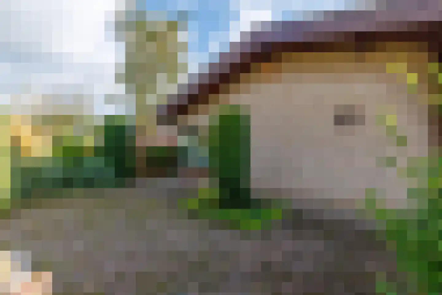 Nijenkerckestraat 6 Haaksbergen thumbnail 49