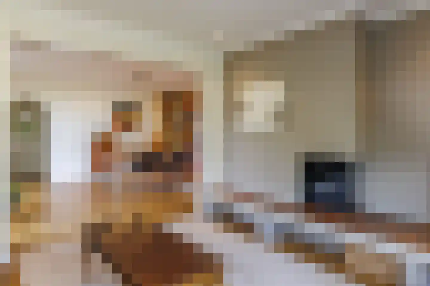 Nijenkerckestraat 6 Haaksbergen thumbnail 9