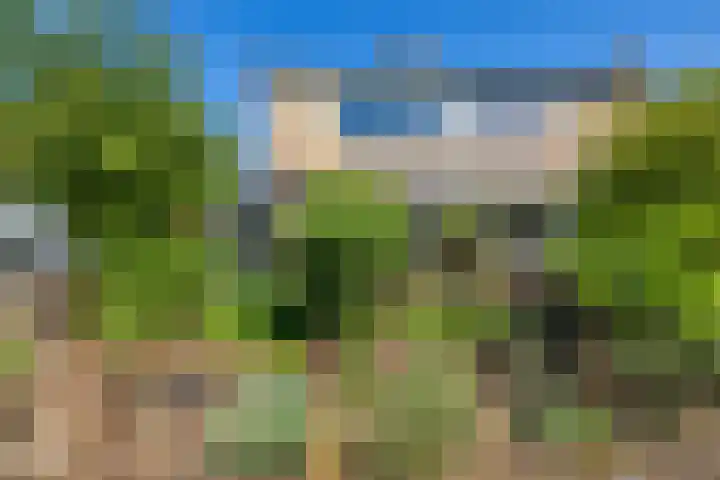 Nijenoertweg 103 Leek