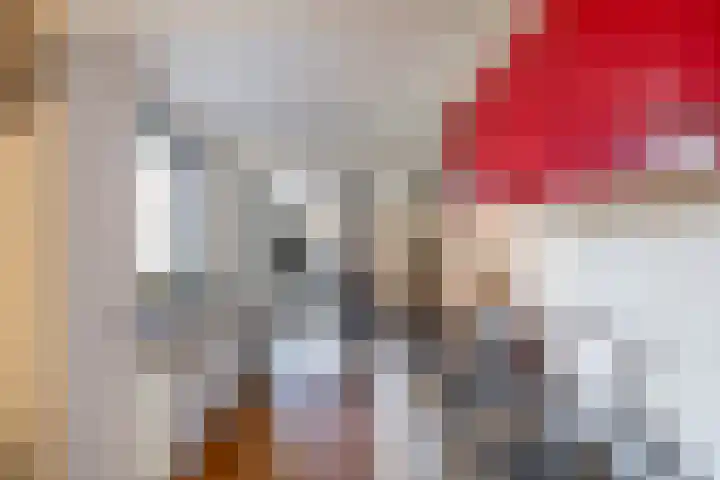 Nijenoertweg 103 Leek thumbnail 13