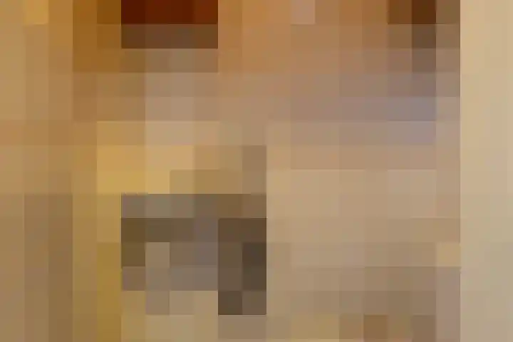 Nijenoertweg 103 Leek thumbnail 15