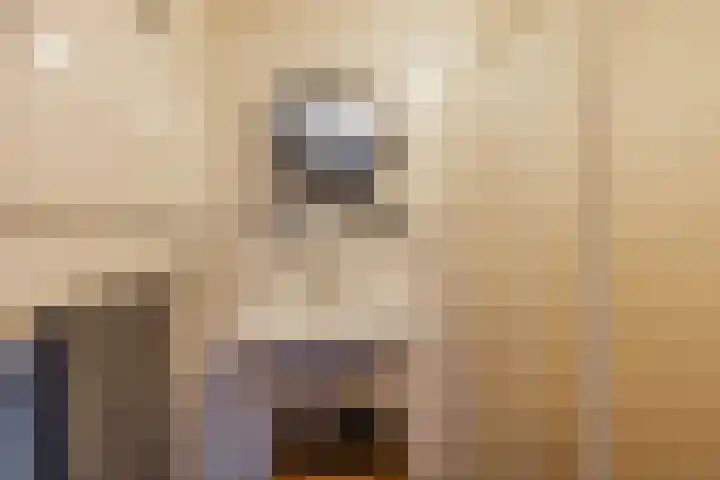 Nijenoertweg 103 Leek thumbnail 21