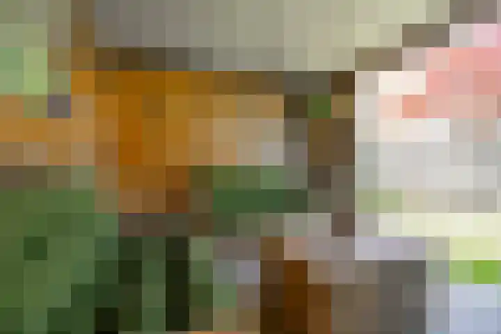 Nijenoertweg 103 Leek thumbnail 25