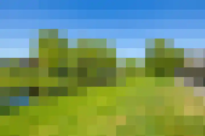 Nijenoertweg 103 Leek thumbnail 28