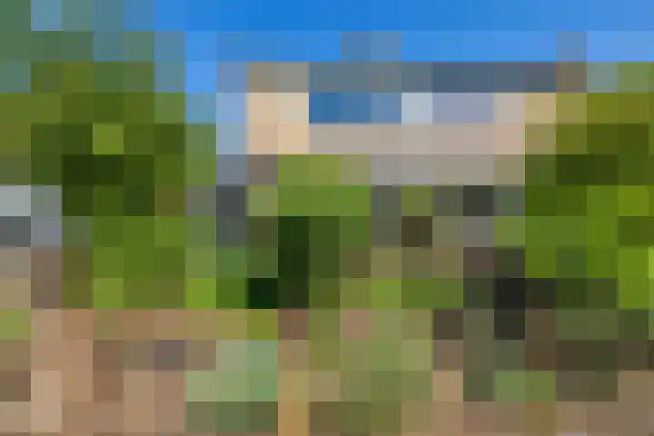 Nijenoertweg 103 Leek thumbnail 32