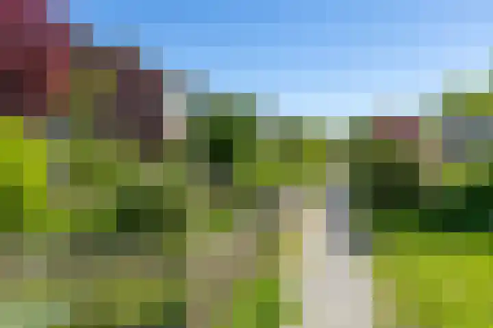 Nijenoertweg 103 Leek thumbnail 4
