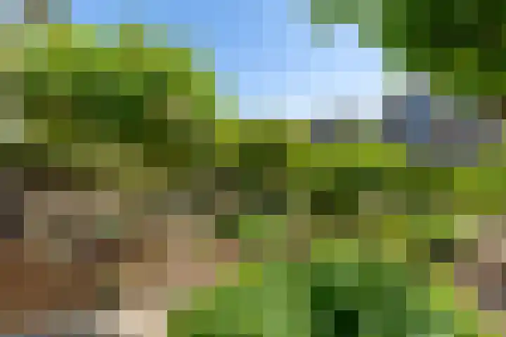 Nijenoertweg 103 Leek thumbnail 5