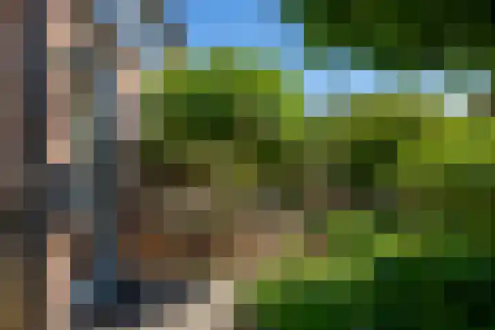 Nijenoertweg 103 Leek thumbnail 6