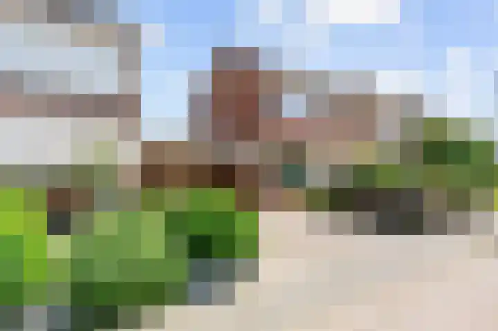Nijenoertweg 62 Leek