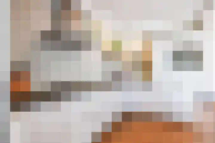 Nijenoertweg 62 Leek thumbnail 20