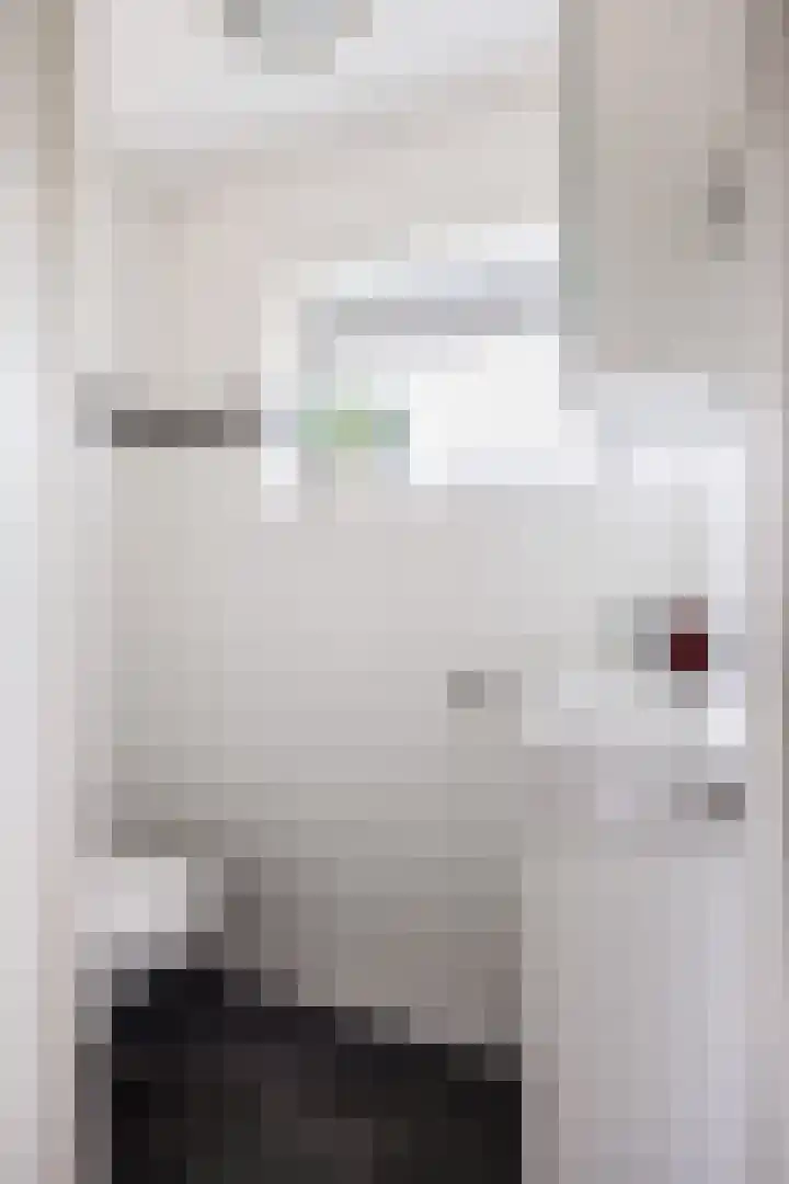 Nijenoertweg 62 Leek thumbnail 31