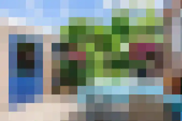 Nijenoertweg 62 Leek thumbnail 38