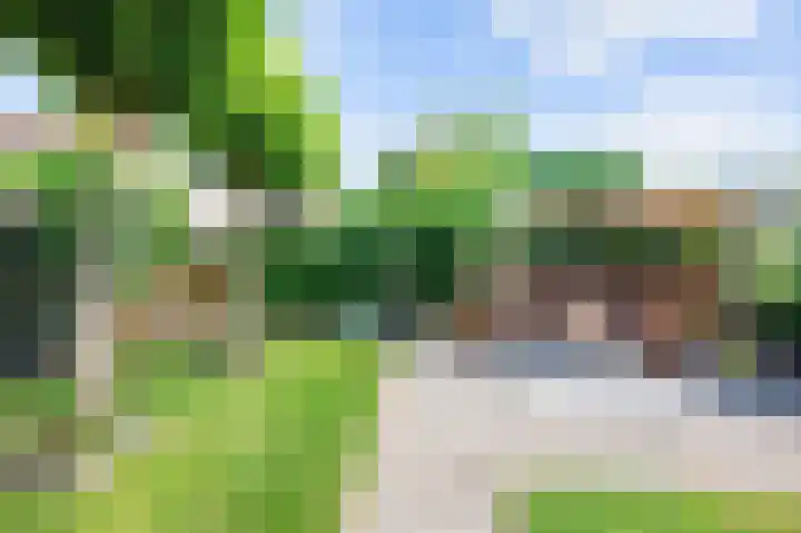Nijenoertweg 62 Leek thumbnail 4