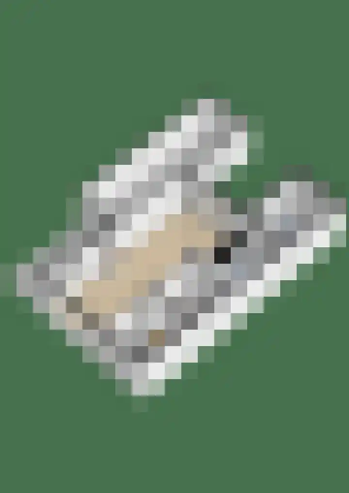 Nijenoertweg 62 Leek thumbnail 48
