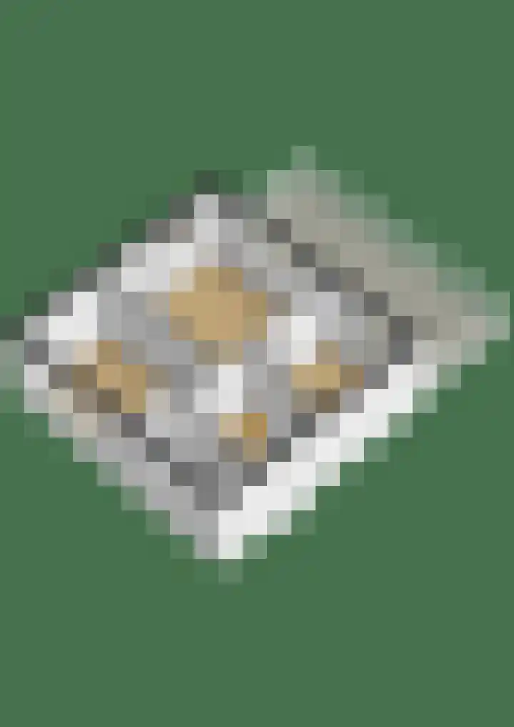 Nijenoertweg 62 Leek thumbnail 50