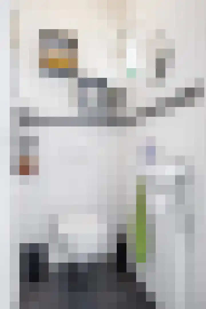 Nijenoertweg 62 Leek thumbnail 9