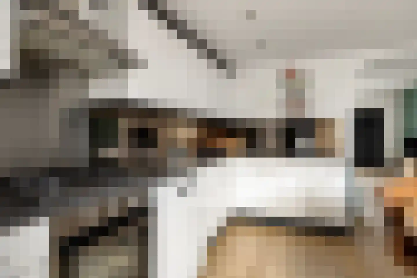 Nijenoertweg 71 Leek thumbnail 14