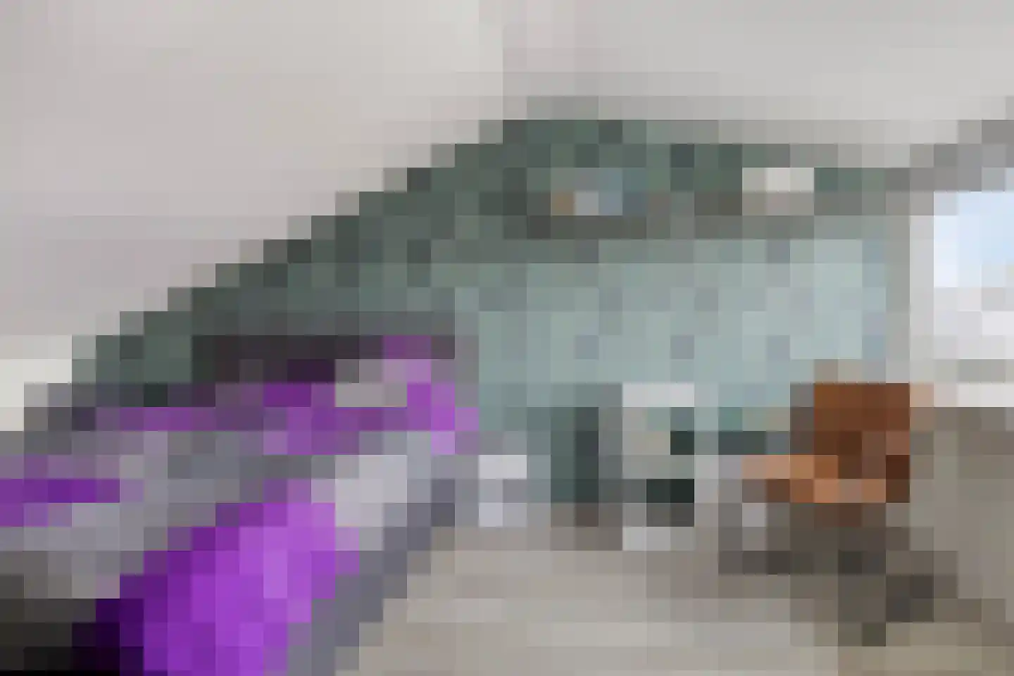 Nijenoertweg 71 Leek thumbnail 32