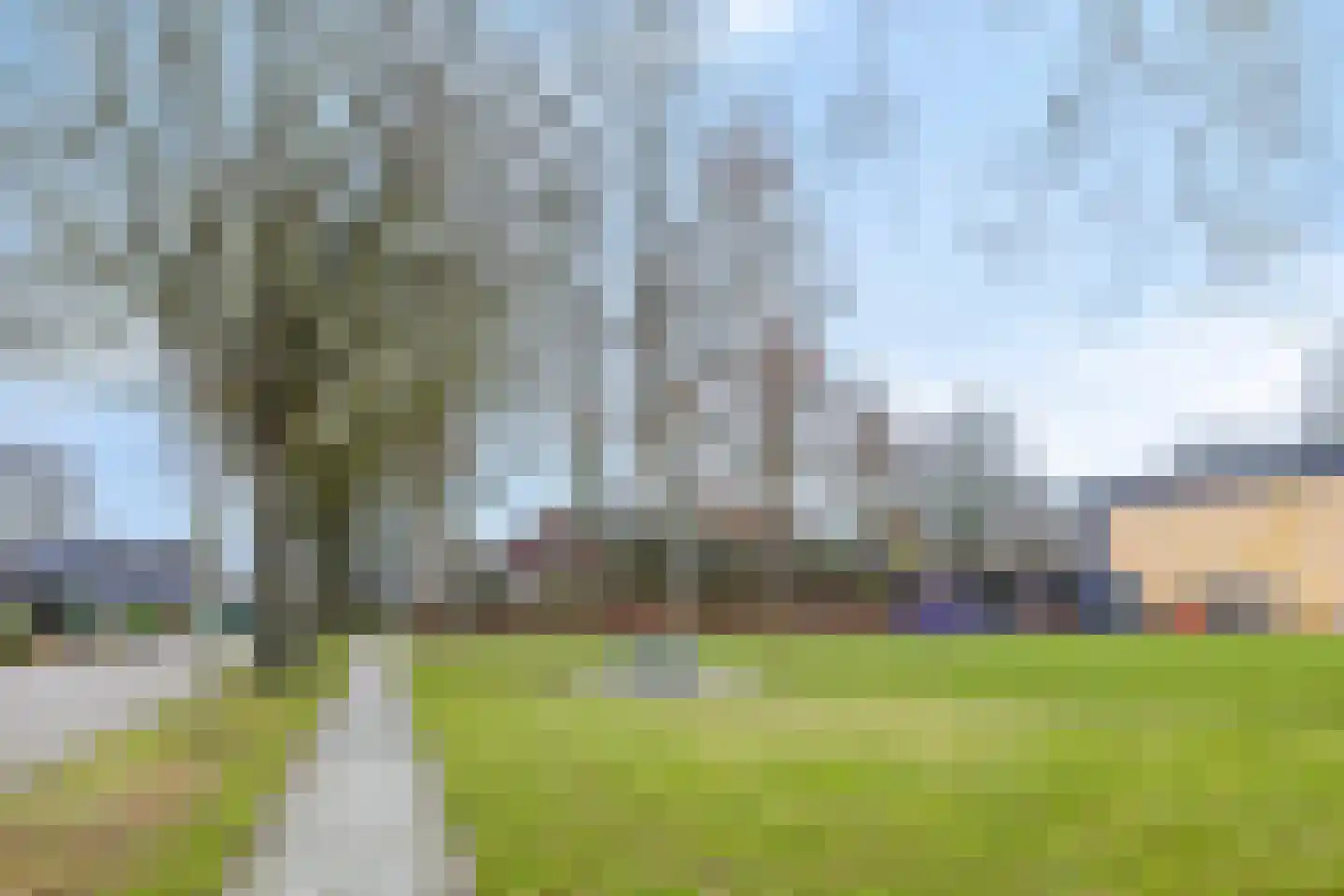 Nijenoertweg 71 Leek thumbnail 44