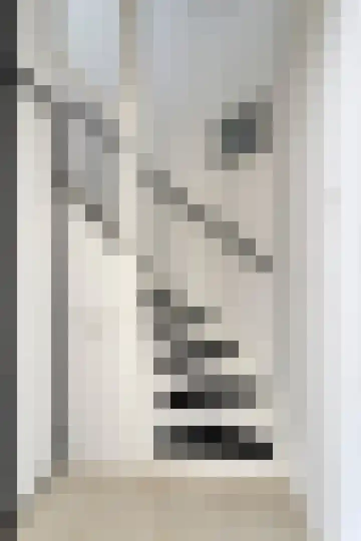 Nijenoertweg 83 Leek thumbnail 12