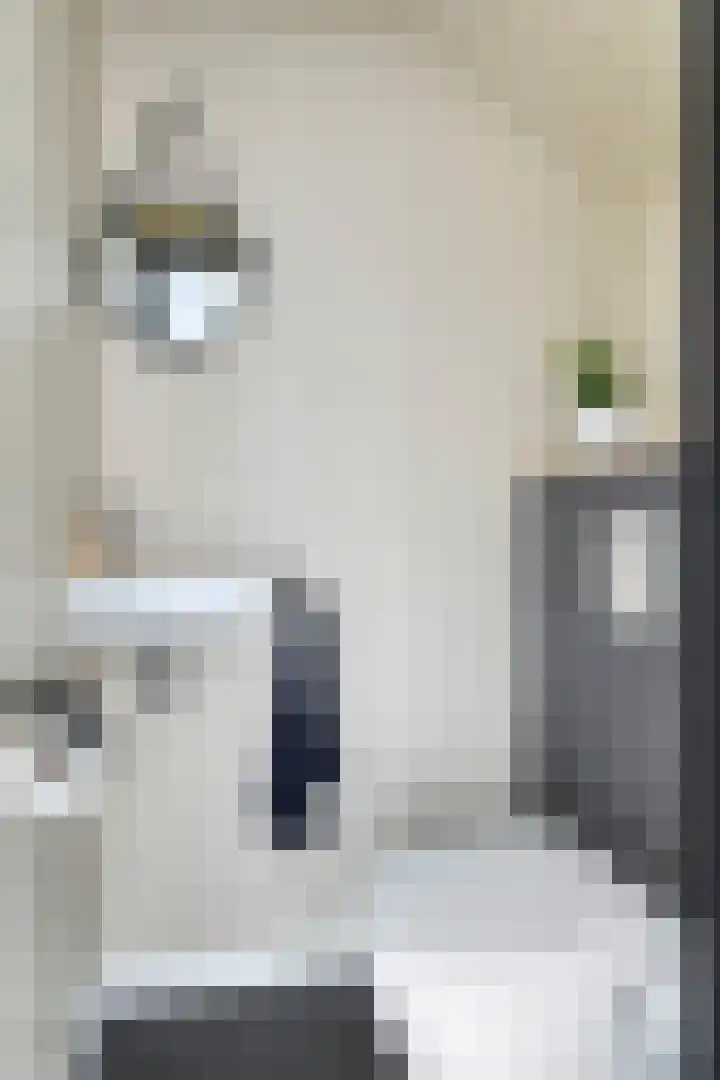 Nijenoertweg 83 Leek thumbnail 13