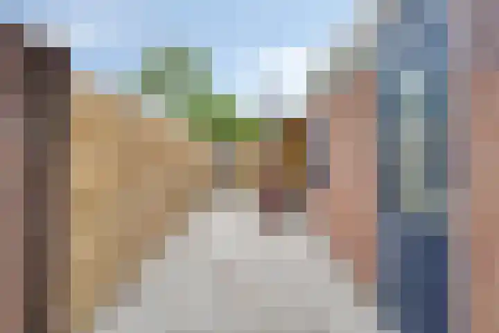 Nijenoertweg 83 Leek thumbnail 24