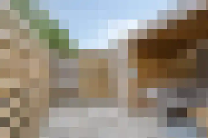 Nijenoertweg 83 Leek thumbnail 25