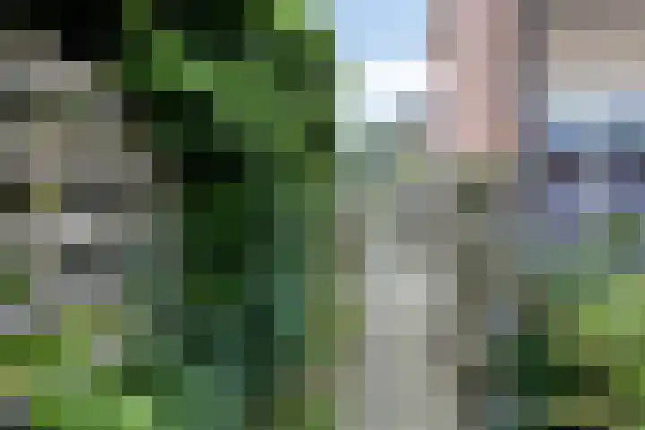 Nijenoertweg 83 Leek thumbnail 28