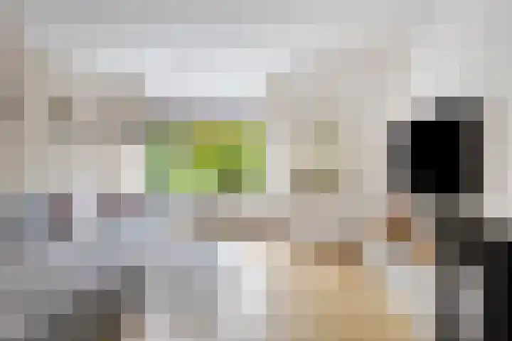 Nijenoertweg 83 Leek foto 3