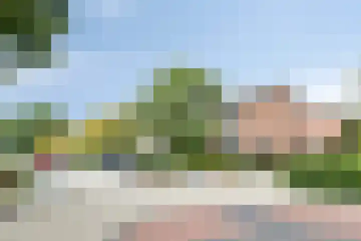 Nijenoertweg 83 Leek thumbnail 31