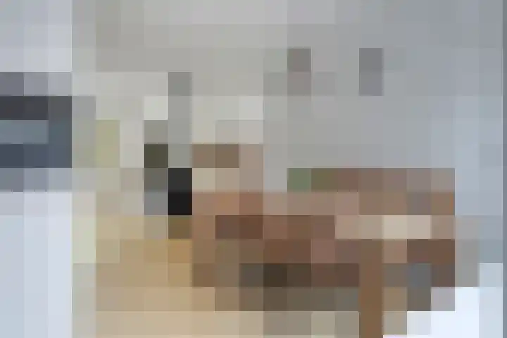 Nijenoertweg 83 Leek thumbnail 7
