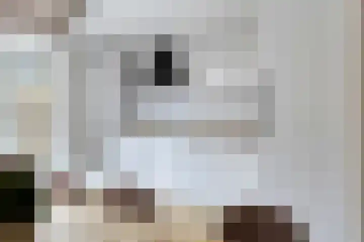 Nijenoertweg 83 Leek thumbnail 8