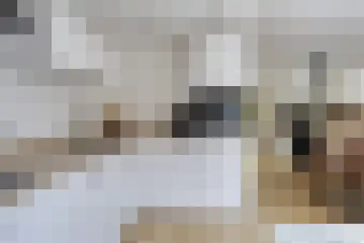 Nijenoertweg 83 Leek thumbnail 9