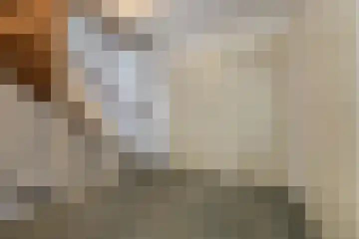 Nijenrode 1 Eindhoven thumbnail 14