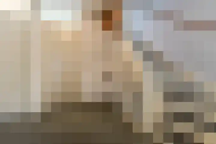 Nijenrode 1 Eindhoven thumbnail 15