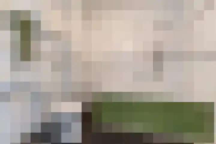 Nijenrode 1 Eindhoven thumbnail 22