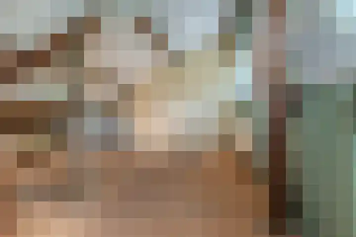 Nijenrode 1 Eindhoven thumbnail 25