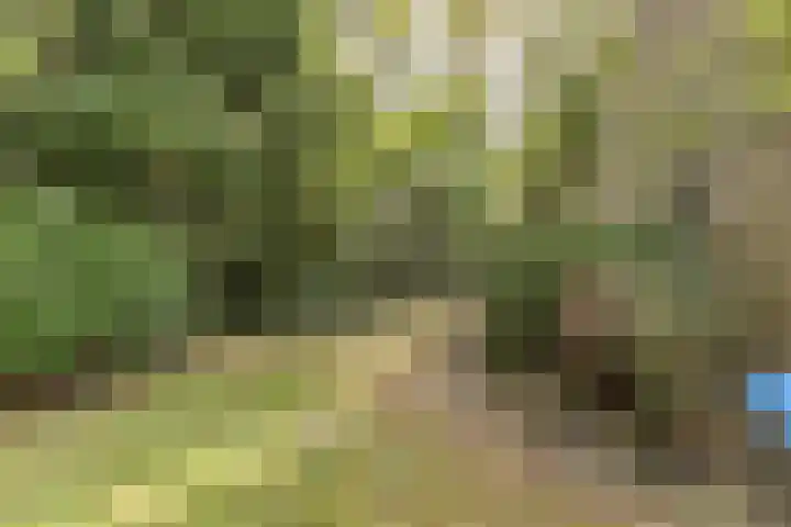 Nijenrode 1 Eindhoven thumbnail 26