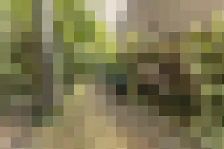 Nijenrode 1 Eindhoven thumbnail 27